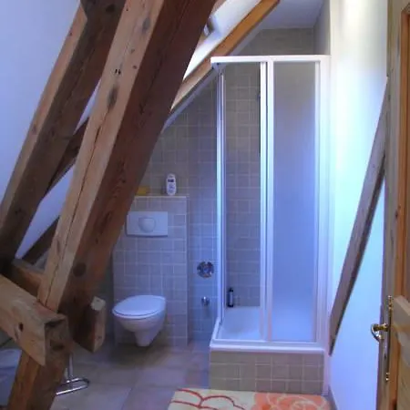 Haus Am Wald 公寓 萨斯尼茨
